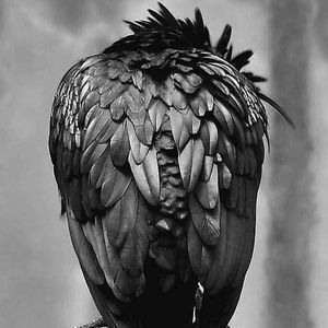 Meet your Posher, Lorraine